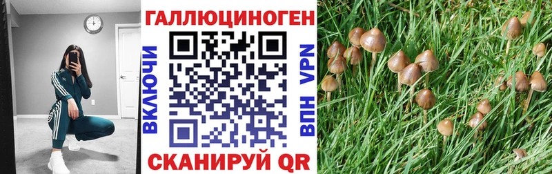 Галлюциногенные грибы мицелий  продажа наркотиков  Бакал 
