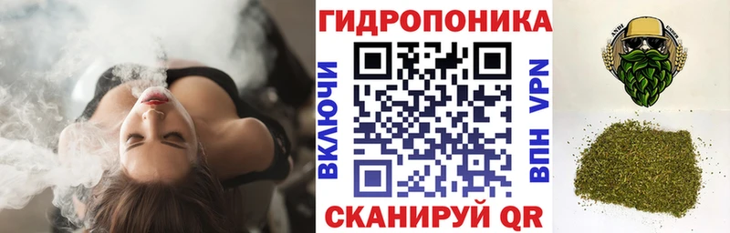 Канабис OG Kush  Бакал 
